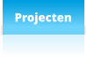 Projecten